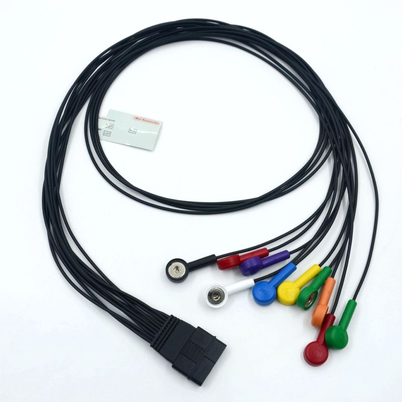 Kompatibel Schiller 10 Lead EKG Patient Kabel Schiller untuk Schiller MS-12 Biru ECG Kabel