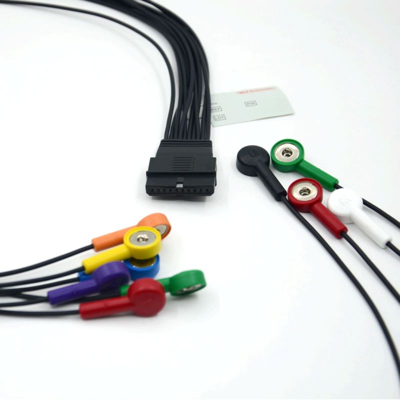 Kompatibel Schiller 10 Lead EKG Patient Kabel Schiller untuk Schiller MS-12 Biru ECG Kabel