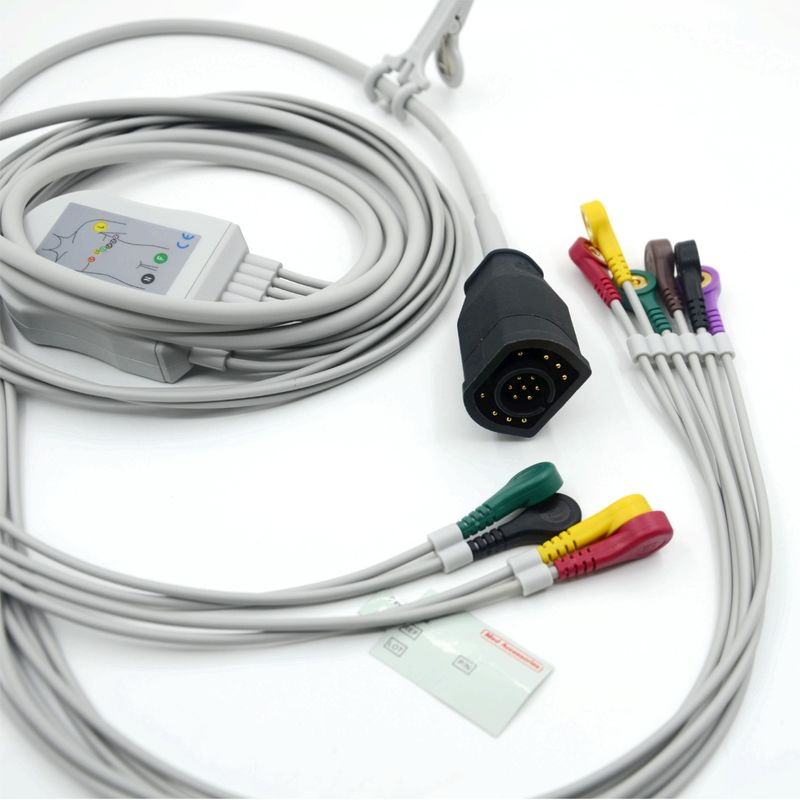 Kompatibel Zoll 10 Leads Snap Tipe IEC Standar EKG Kabel dan kabel